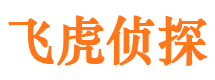 富平市调查公司